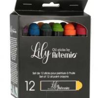 Pack 12 peintures lily vives paintstick huile